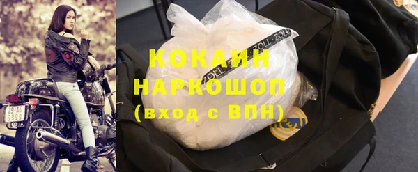 сатива Алзамай