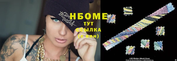 сатива Алзамай