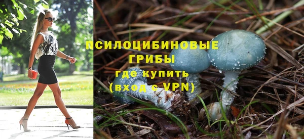 стафф Абинск