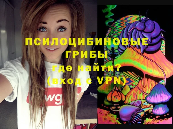 сатива Алзамай