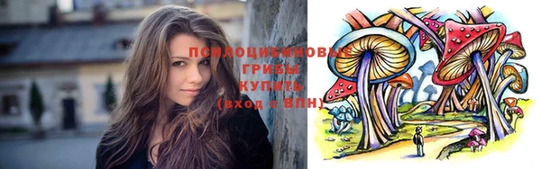 стафф Абинск